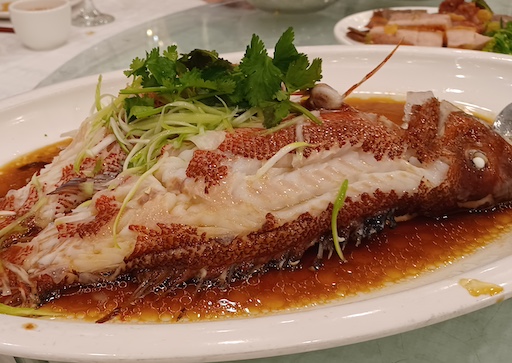 steamed fish